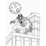 3 3